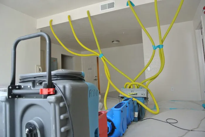 First Call Cleaning & Restoration, Inc Picture 10