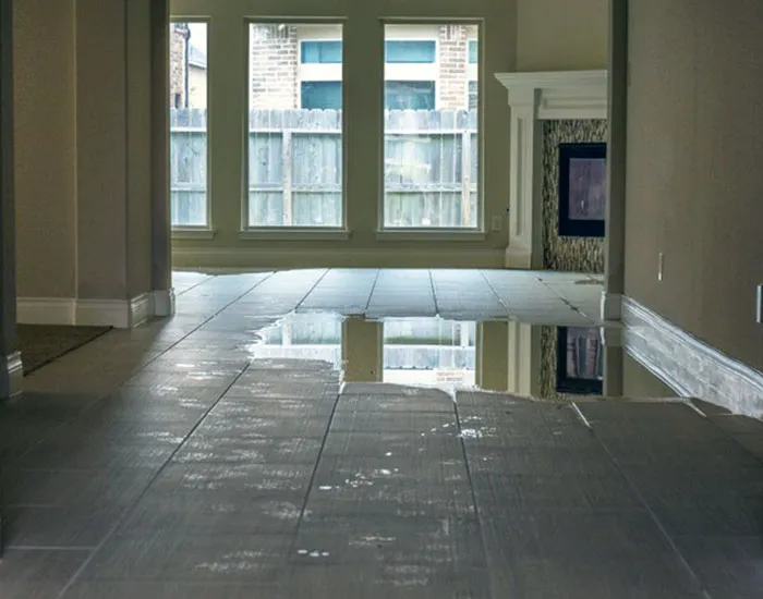 Bio-Ready Water Damage Restoration Services Picture 8