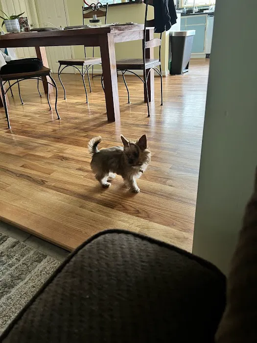 A Healthy Home Picture 8