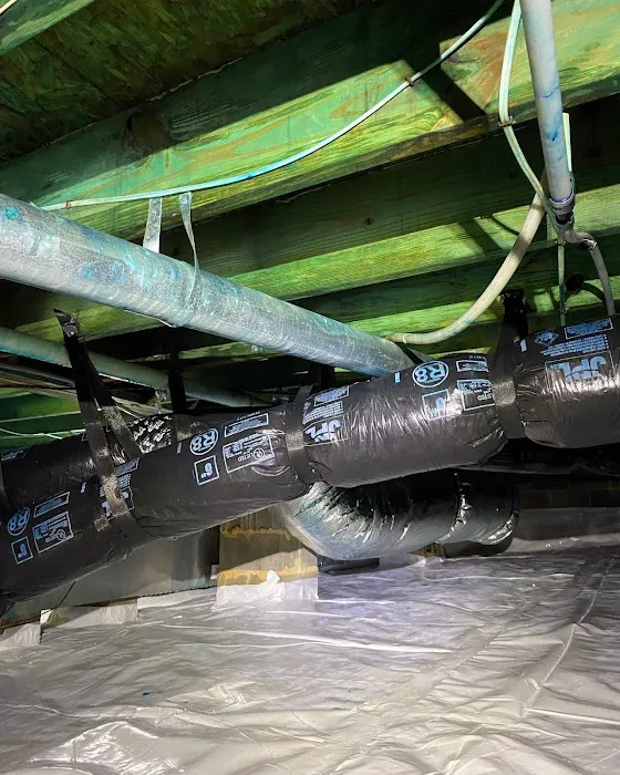 Bioclean Restoration - Chapel Hill Picture 1