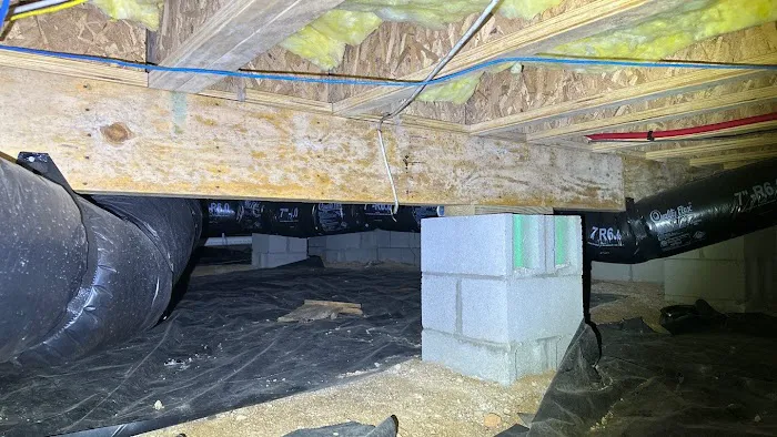 Bioclean Restoration - Chapel Hill Picture 8