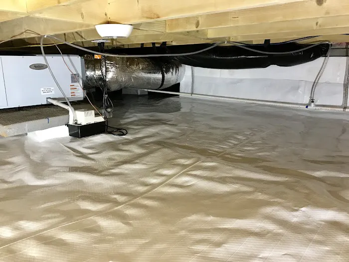 Mold Magic Picture 2