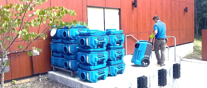 Mold Magic Picture 1