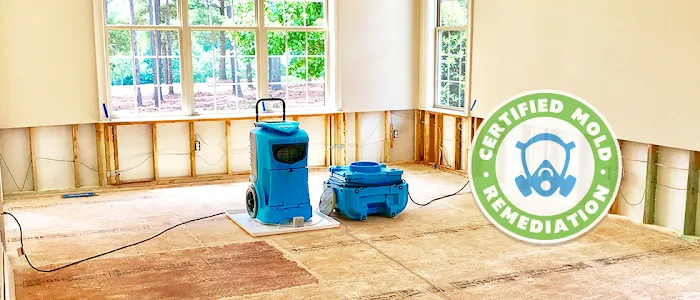 Mold Magic Picture 3