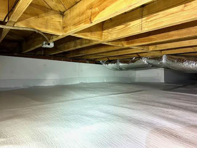 Mold Magic Picture 4