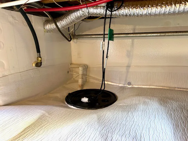 Mold Magic Picture 6