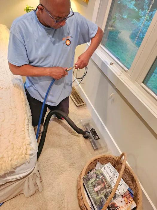 Mold Free NC Picture 1