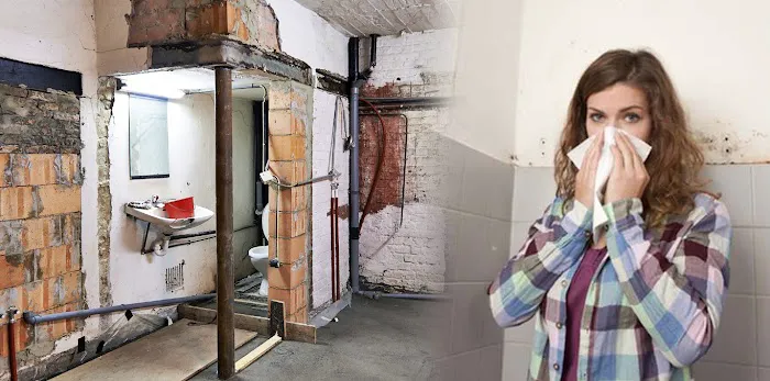 Mold Free NC Picture 6