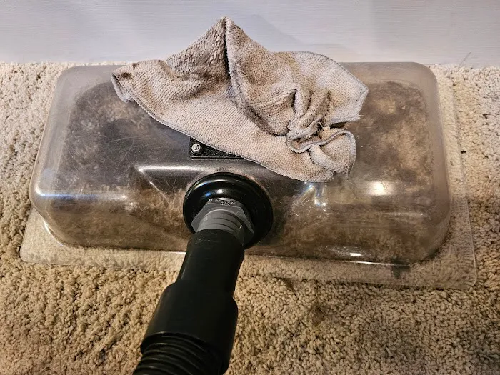 Mold Free NC Picture 5