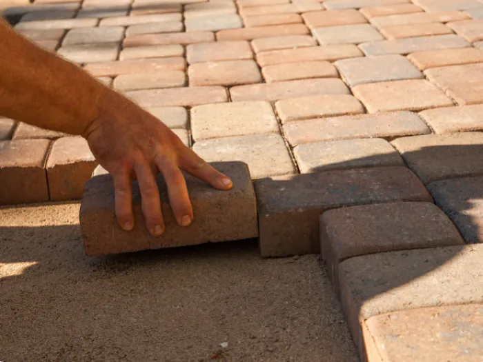 Mold Free NC Picture 9