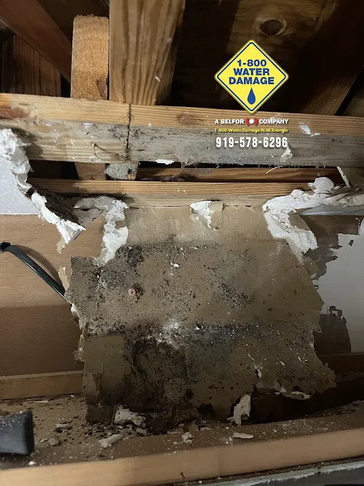 1-800 Water Damage of the N.W. Triangle Area Picture 9