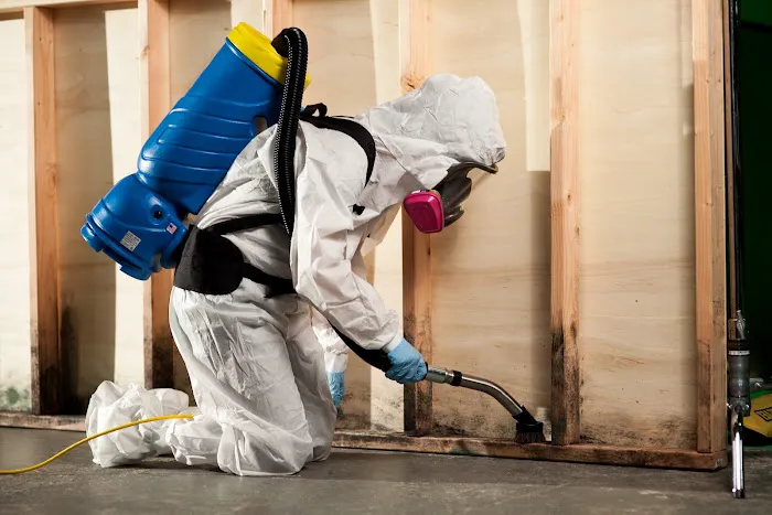 1-800 Water Damage of the N.W. Triangle Area Picture 10