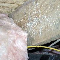 IdealCrawlSpaces ico