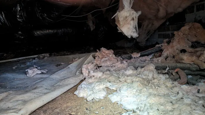 IdealCrawlSpaces Picture 9