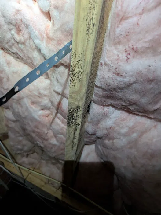 IdealCrawlSpaces Picture 6