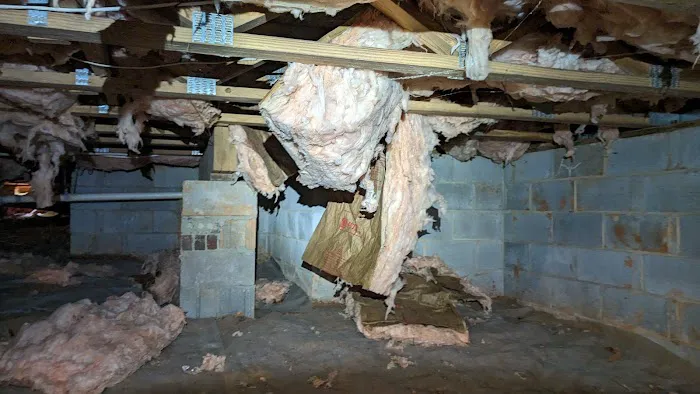 IdealCrawlSpaces Picture 10