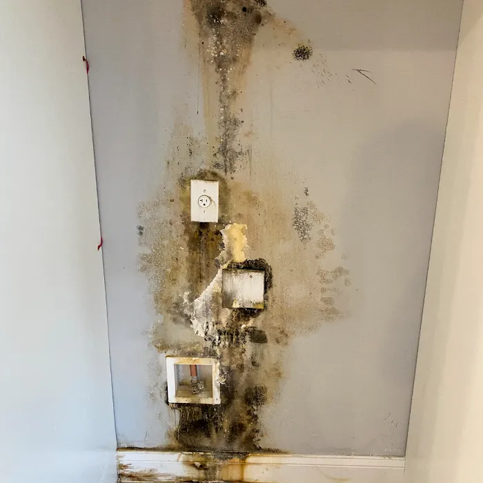 Burklu Restoration Picture 5