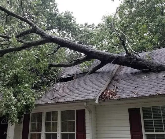 SERVPRO of Franklin, Vance & Granville Counties Picture 8