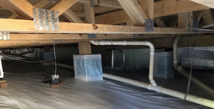 Elite Moisture Solutions Picture 5