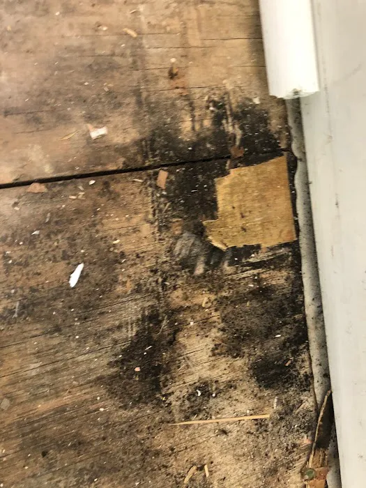 Elite Moisture Solutions Picture 6