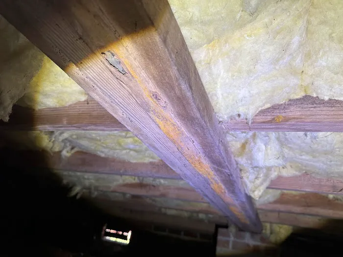 Elite Moisture Solutions Picture 7