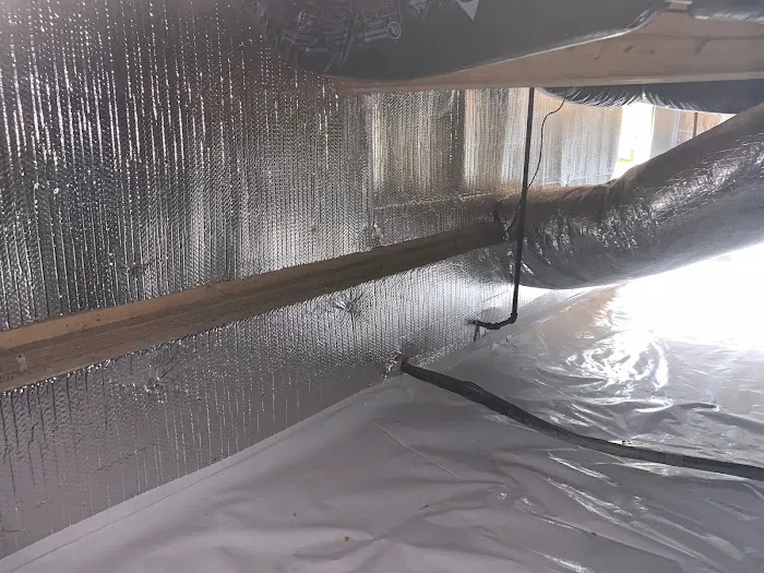 Elite Moisture Solutions Picture 8