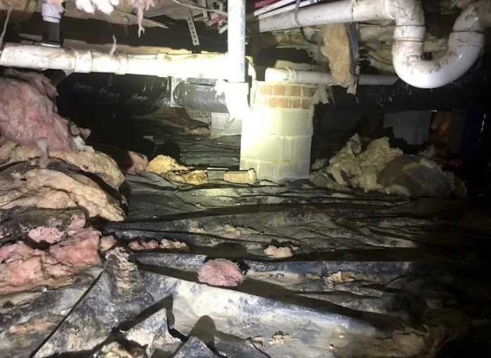 Elite Moisture Solutions Picture 9