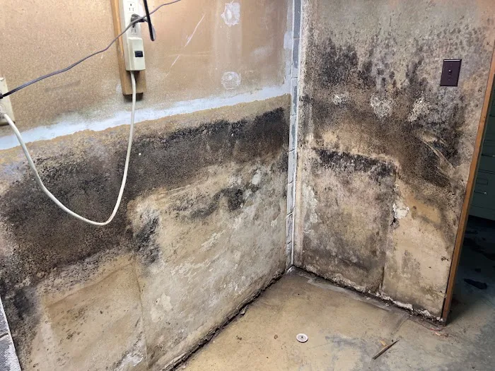 PuroClean Disaster First Response Picture 3