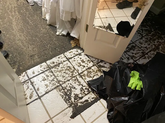 PuroClean Disaster First Response Picture 5