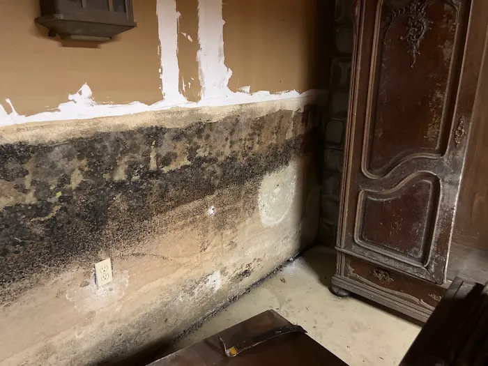 PuroClean Disaster First Response Picture 6