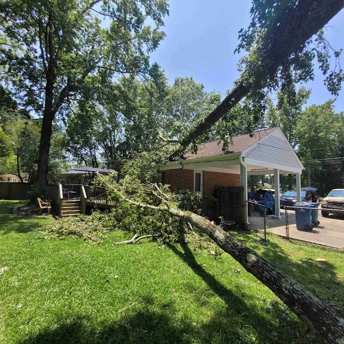 Restoration Experts of NC Picture 6