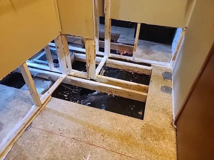 Water Damage Pros NC Picture 9