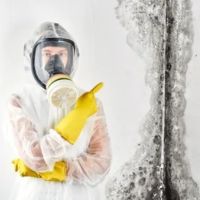 Hero Mold Company of Eden ico