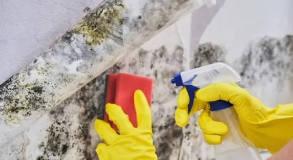 Hero Mold Company of Eden Picture 5