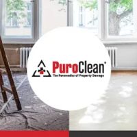 PuroClean Disaster Response Services ico