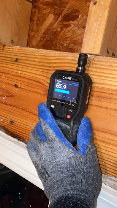 Franco Restorations Picture 4