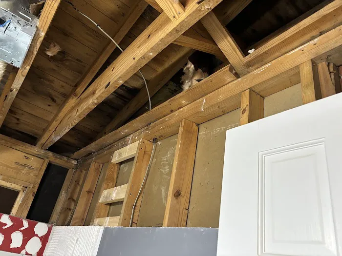 NC Water And Mold Picture 2