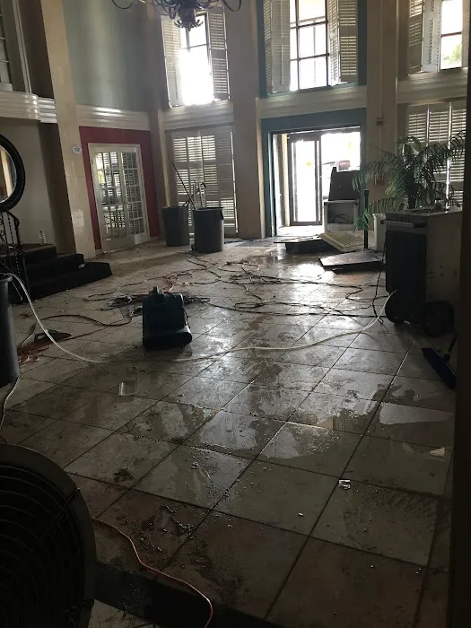 NC Water And Mold Picture 4