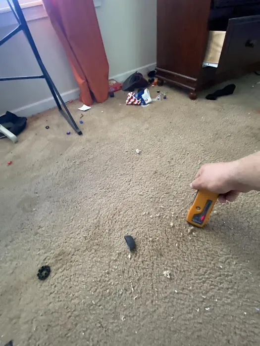 NC Water And Mold Picture 5