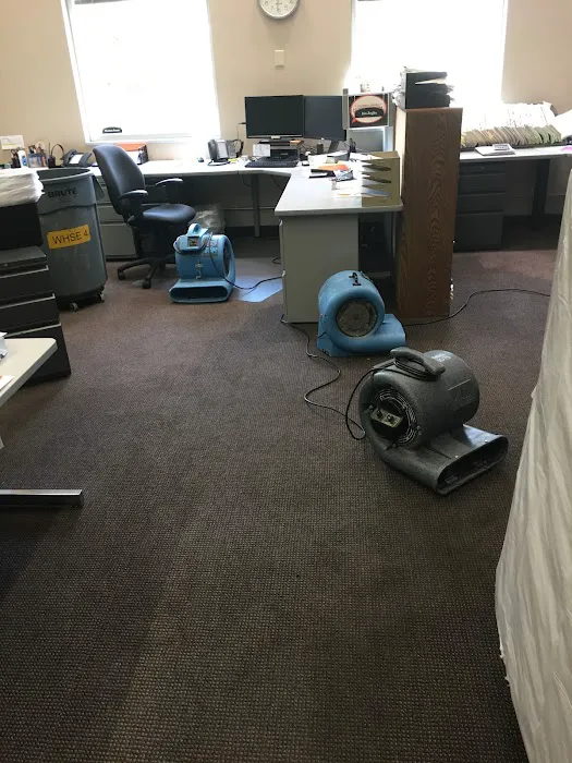 NC Water And Mold Picture 9