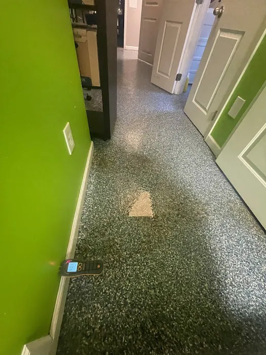 RDU Restoration - Fire, Smoke, Mold, & Water Damage Restoration Picture 1