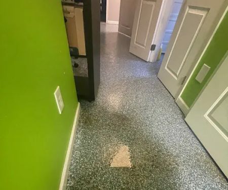 RDU Restoration - Fire, Smoke, Mold, & Water Damage Restoration