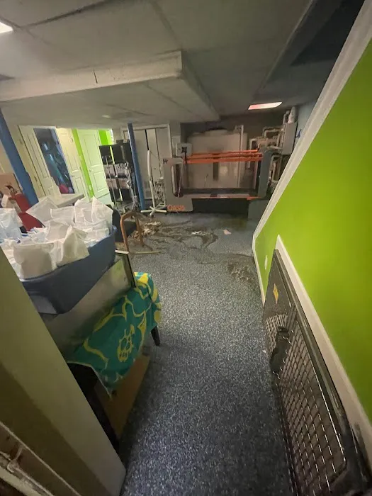 RDU Restoration - Fire, Smoke, Mold, & Water Damage Restoration Picture 2