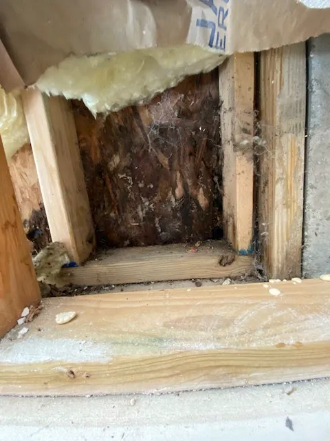 RDU Restoration - Fire, Smoke, Mold, & Water Damage Restoration Picture 4