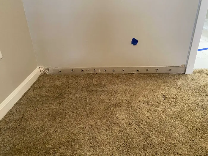 First Choice Water Damage Experts Picture 2