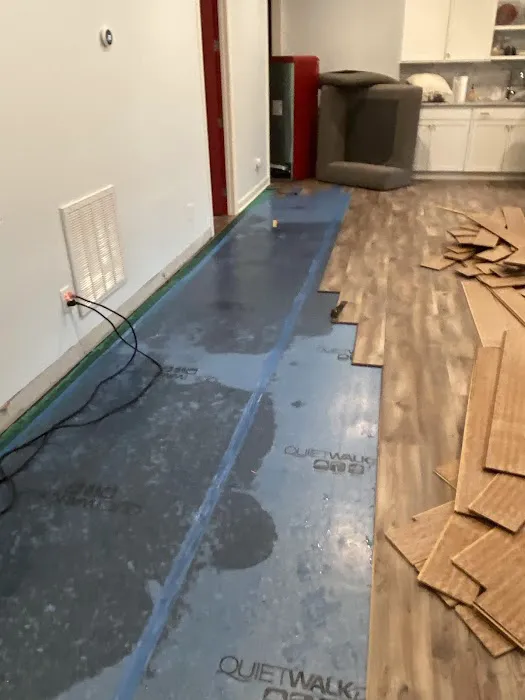 First Choice Water Damage Experts Picture 3