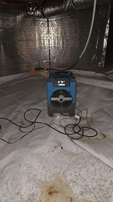 First Choice Water Damage Experts Picture 6