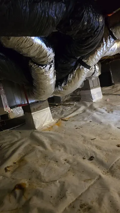 First Choice Water Damage Experts Picture 5