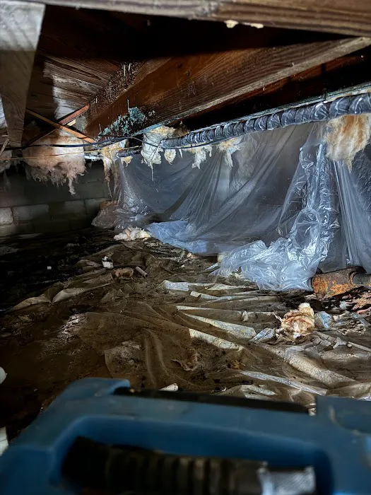 First Choice Water Damage Experts Picture 7