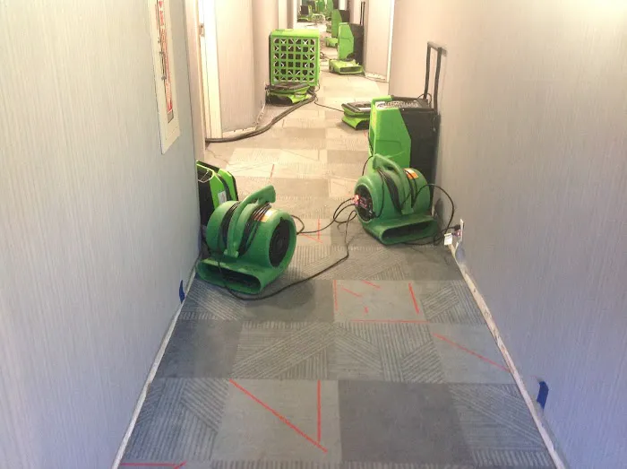 SERVPRO of North Raleigh & Wake Forest Picture 8